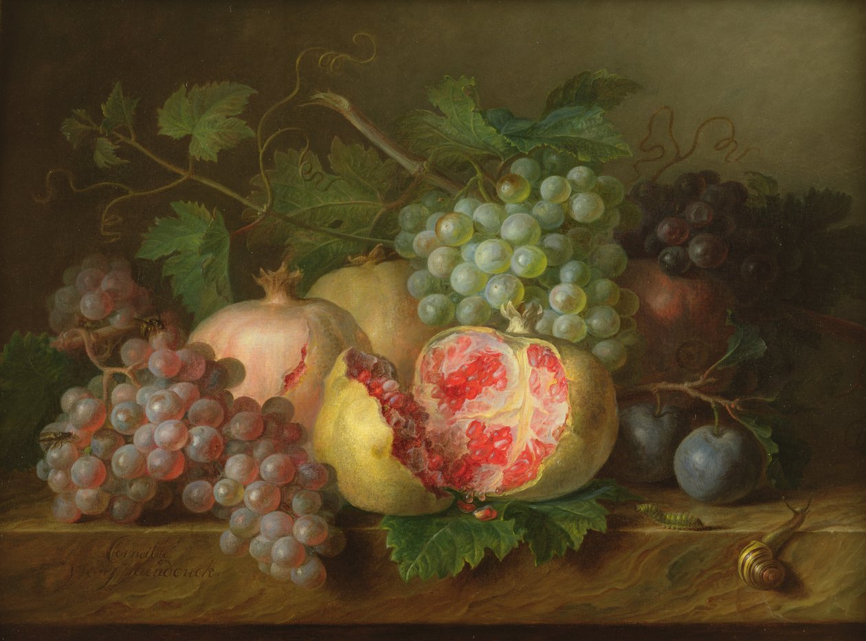 Bodegón de granadas, uvas y ciruelas en un borde de mármol de Cornelis van Spaendonck