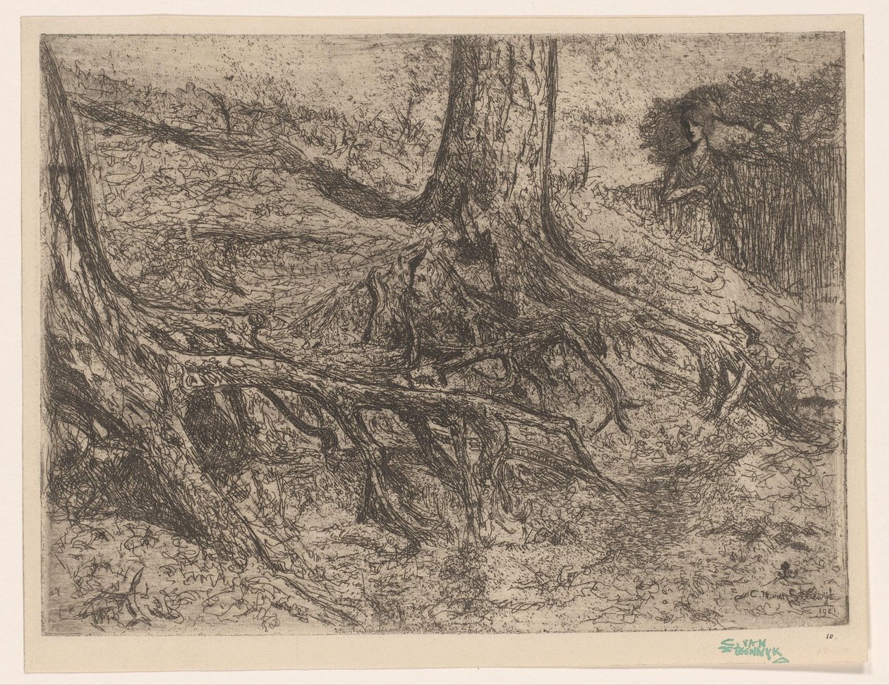Raíces de los árboles de Cornelis van Steenwijk
