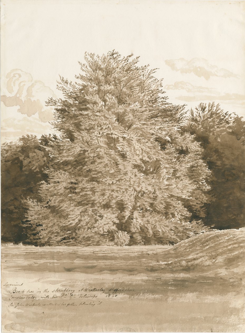 Wrottesley Hall - El Arboreto de Cornelius Varley