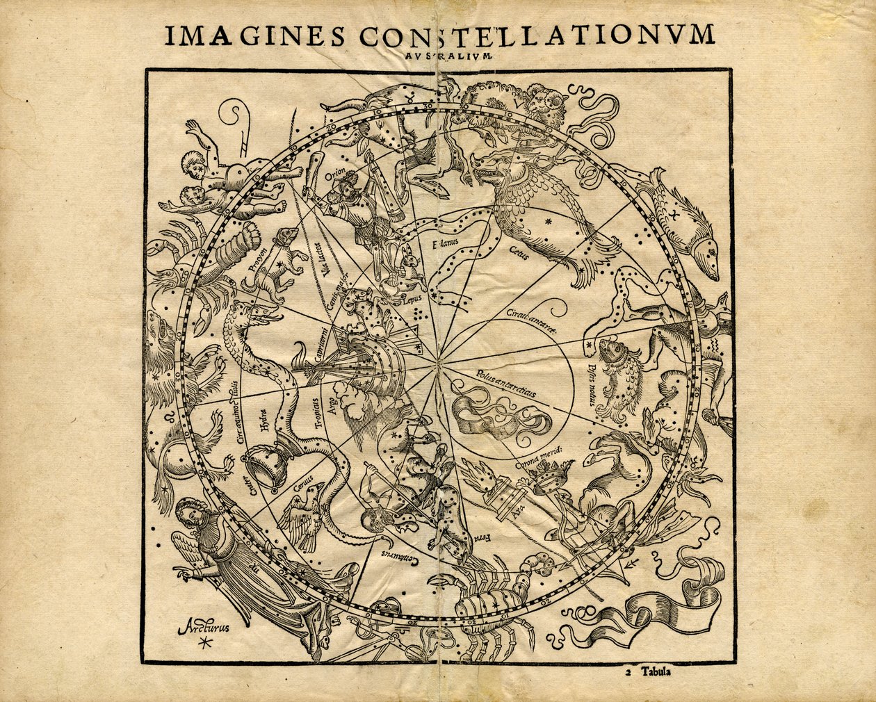 Imagina Constellationum Australium (Planisferio Celeste Austral) de Coronensis & Petri Heinrich Honter