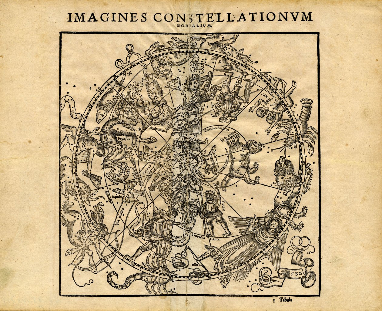 Imagina Constellationum Borealium (Planisferio Celeste Septentrional) de Coronensis & Petri Heinrich Honter
