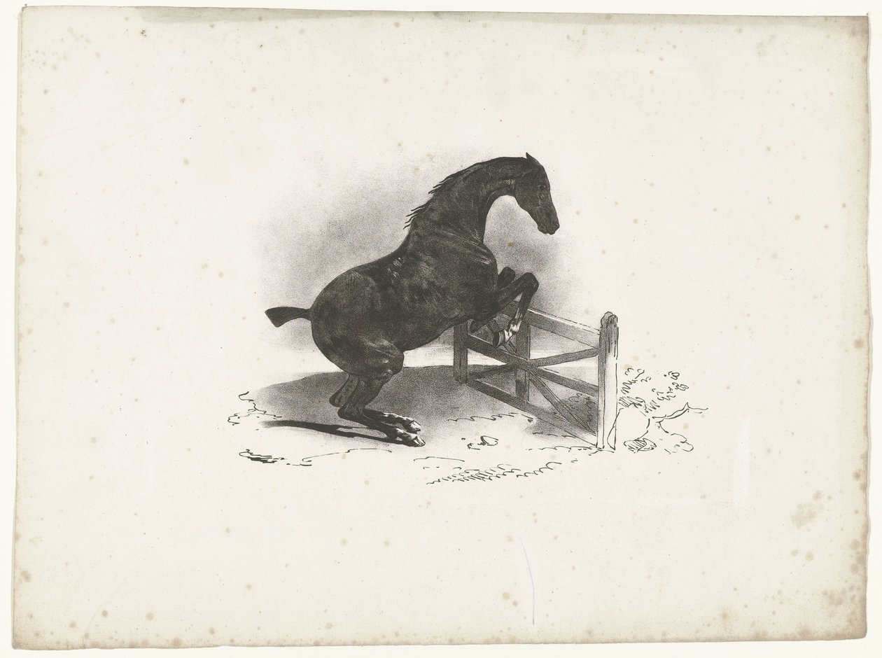 Caballo salta sobre una valla Cheval franquiciante une barrera de Courtin