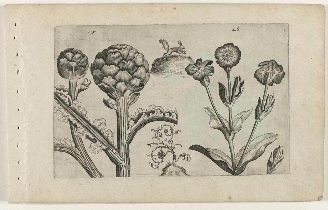 Artisjok en prikneus Conozca los lirios (título de la serie) de Crispijn van de Passe (I) (attributed to)