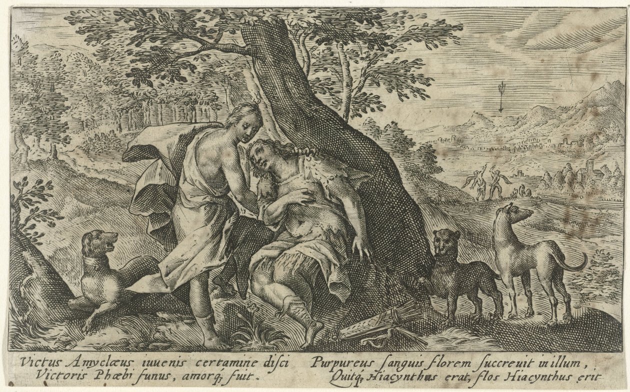 Apolo en Jacinto Metamorfosen van Ovidius (título de la serie) de Crispijn van de Passe (I)