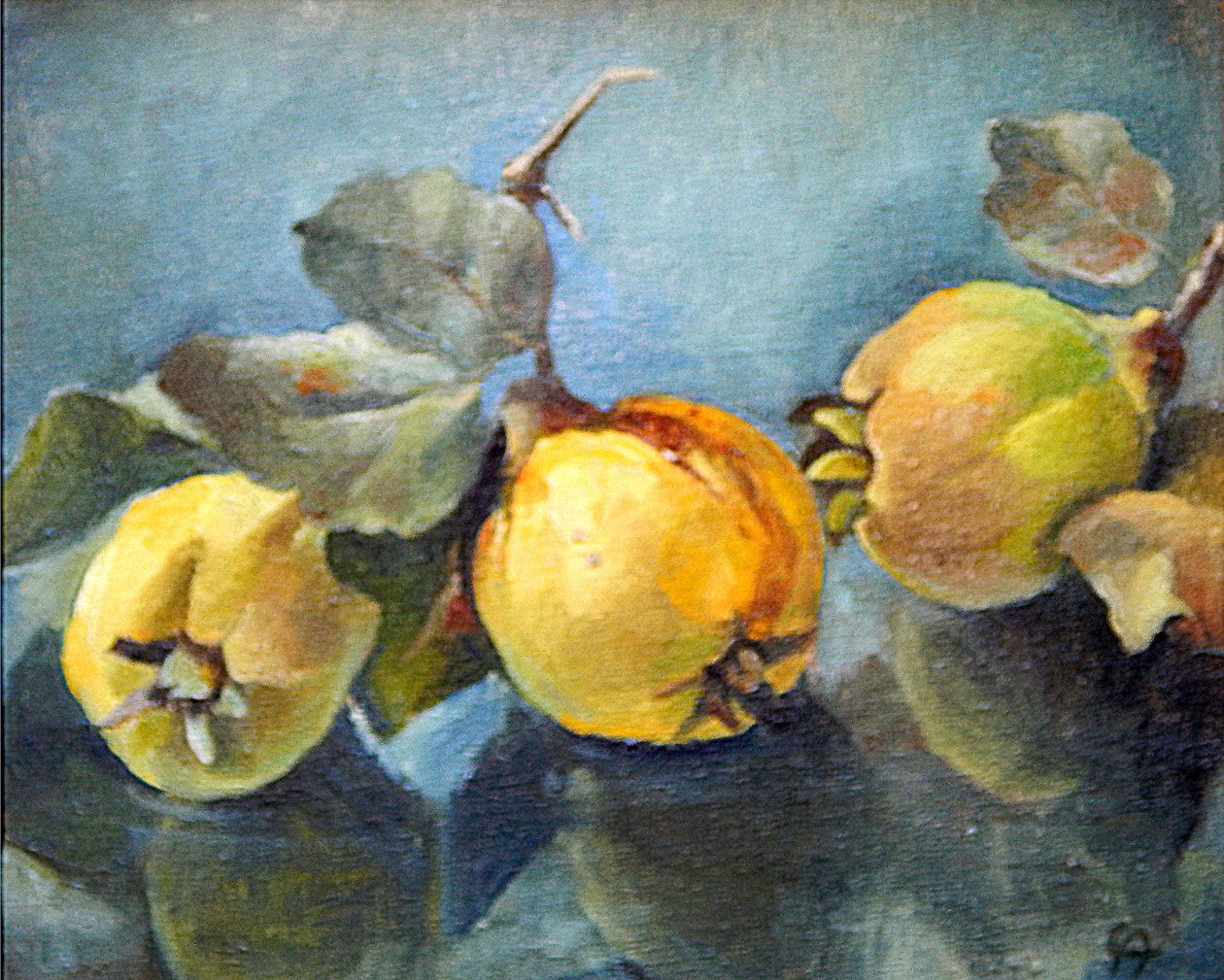Membrillos, 2011 de Cristiana Angelini