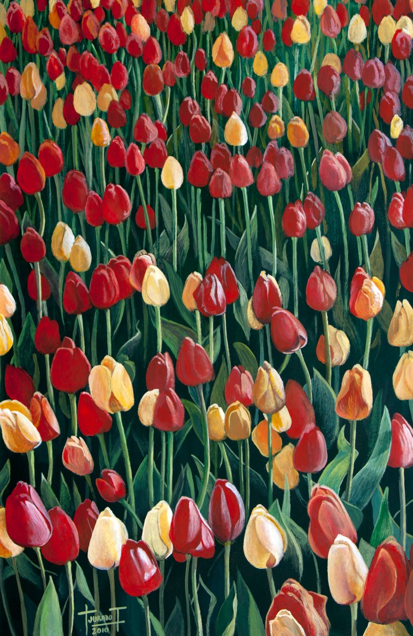 Tulipanes, 2010 de Cruz Jurado Traverso