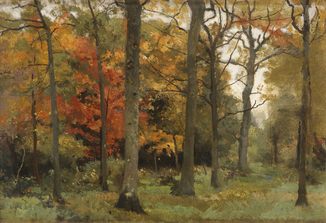 Hojas de Otoño de Cyrus Johnson