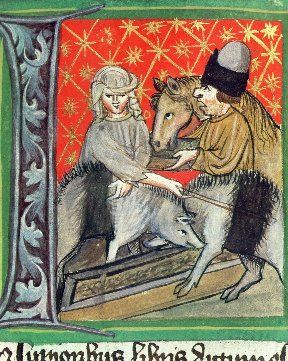 Cría de cerdos y caballos, de Opus Ruralium Commodorum por Pietro de Crescenzi (1230-1321) de Czech School