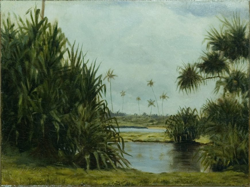 Bahía de Hilo de D. Howard Hitchcock