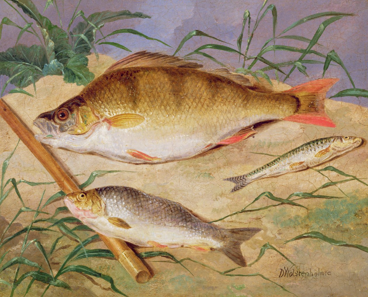 La captura de un pescador de peces gruesos de D. the Younger Wolstenholme