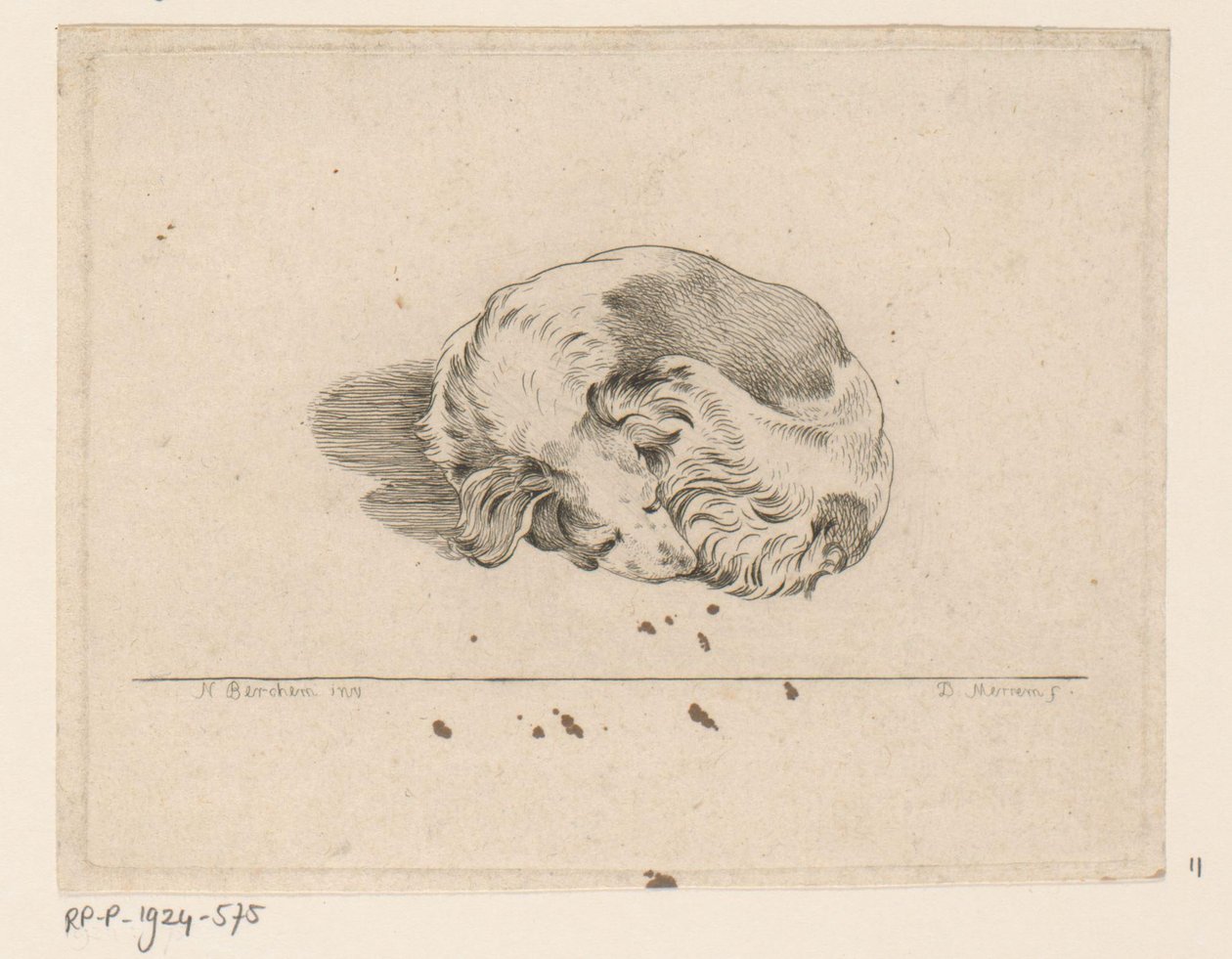 Perro dormido de D. Merrem
