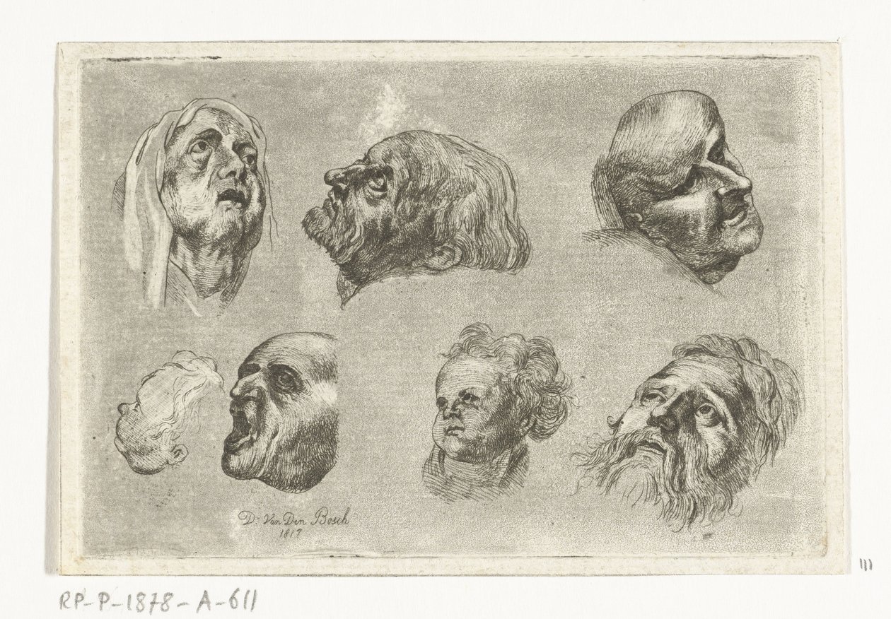 Hoja de estudio con siete cabezas en dos filas de D. van den Bosch