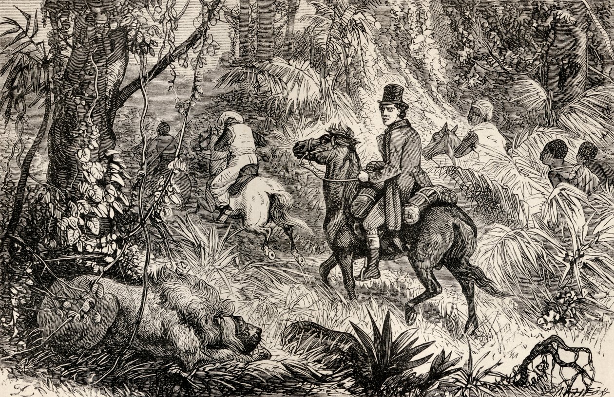 Mungo Park encontrando un León en su camino al Pueblo de Modiboo, 1825 de Dalziel Brothers