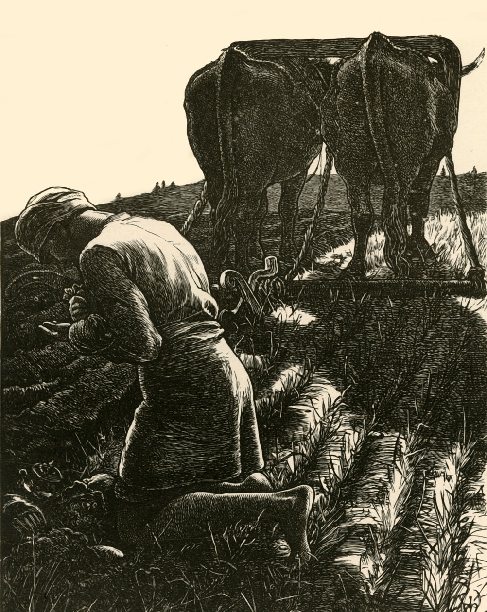 El Tesoro Escondido, 1864, 1928 de Dalziel Brothers
