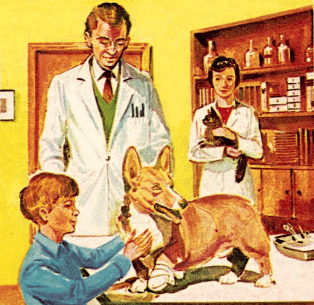 Clínica del Dispensario Popular para Animales Enfermos de Dan Escott