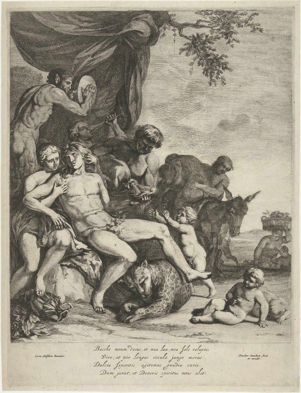 cordón umbilical de Dancker Danckerts