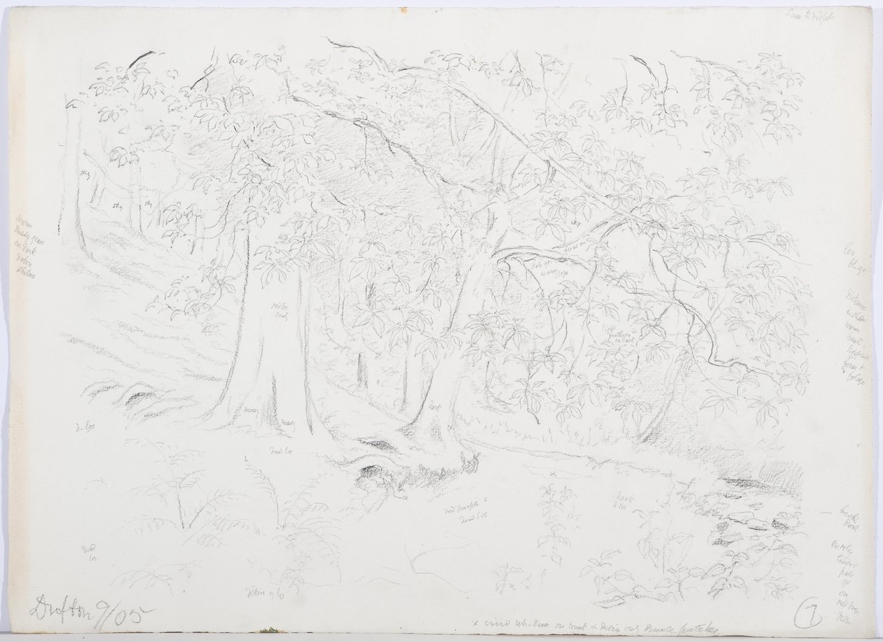 c.1916 de Daniel Oliver