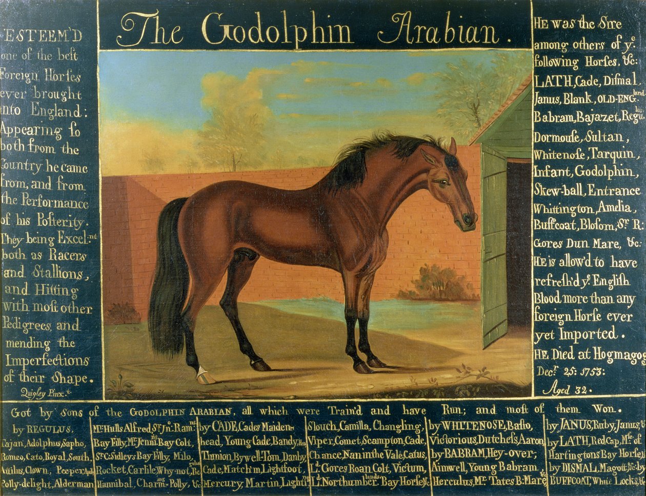 El árabe Godolphin de Daniel Quigley