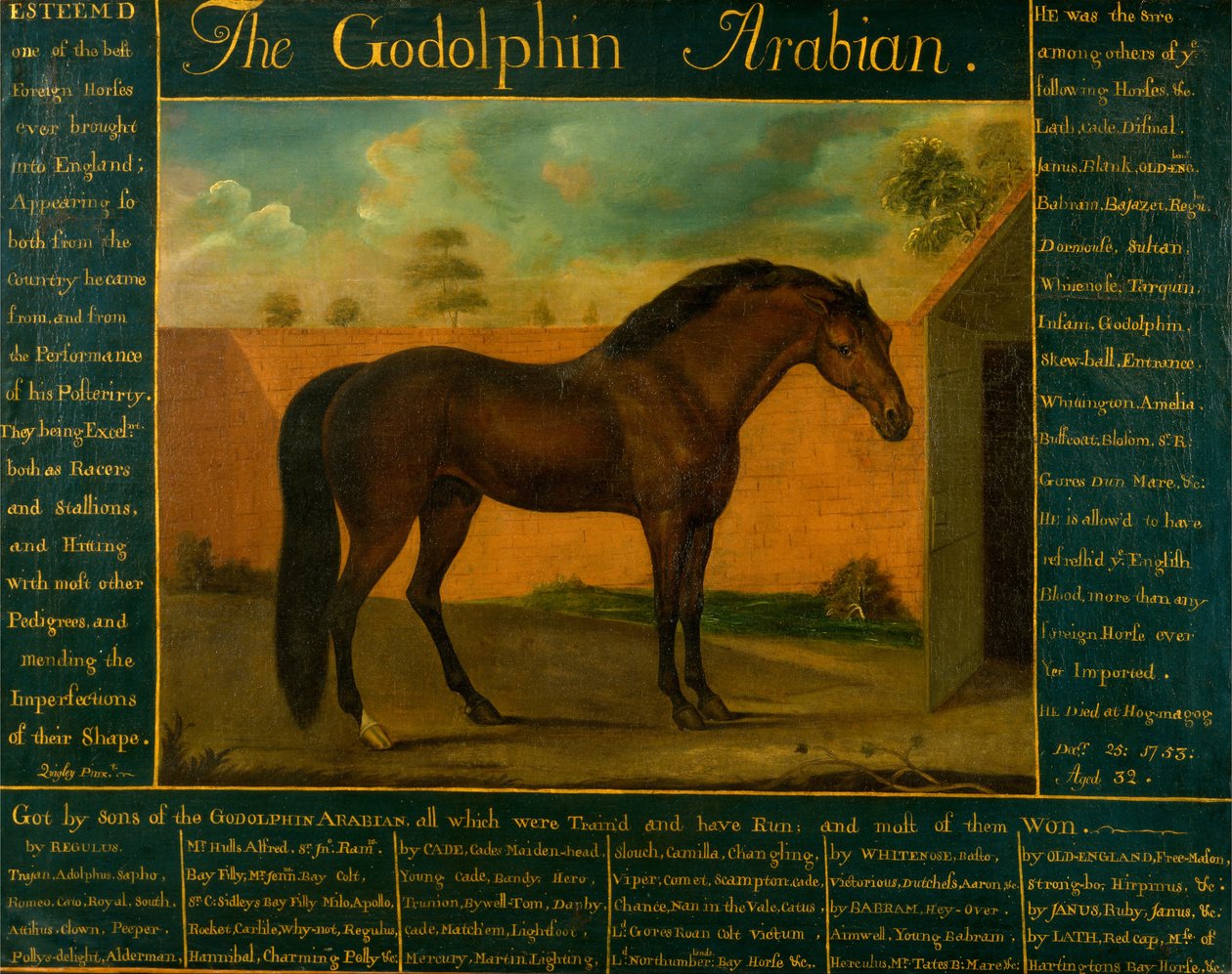 El árabe Godolphin de Daniel Quigley