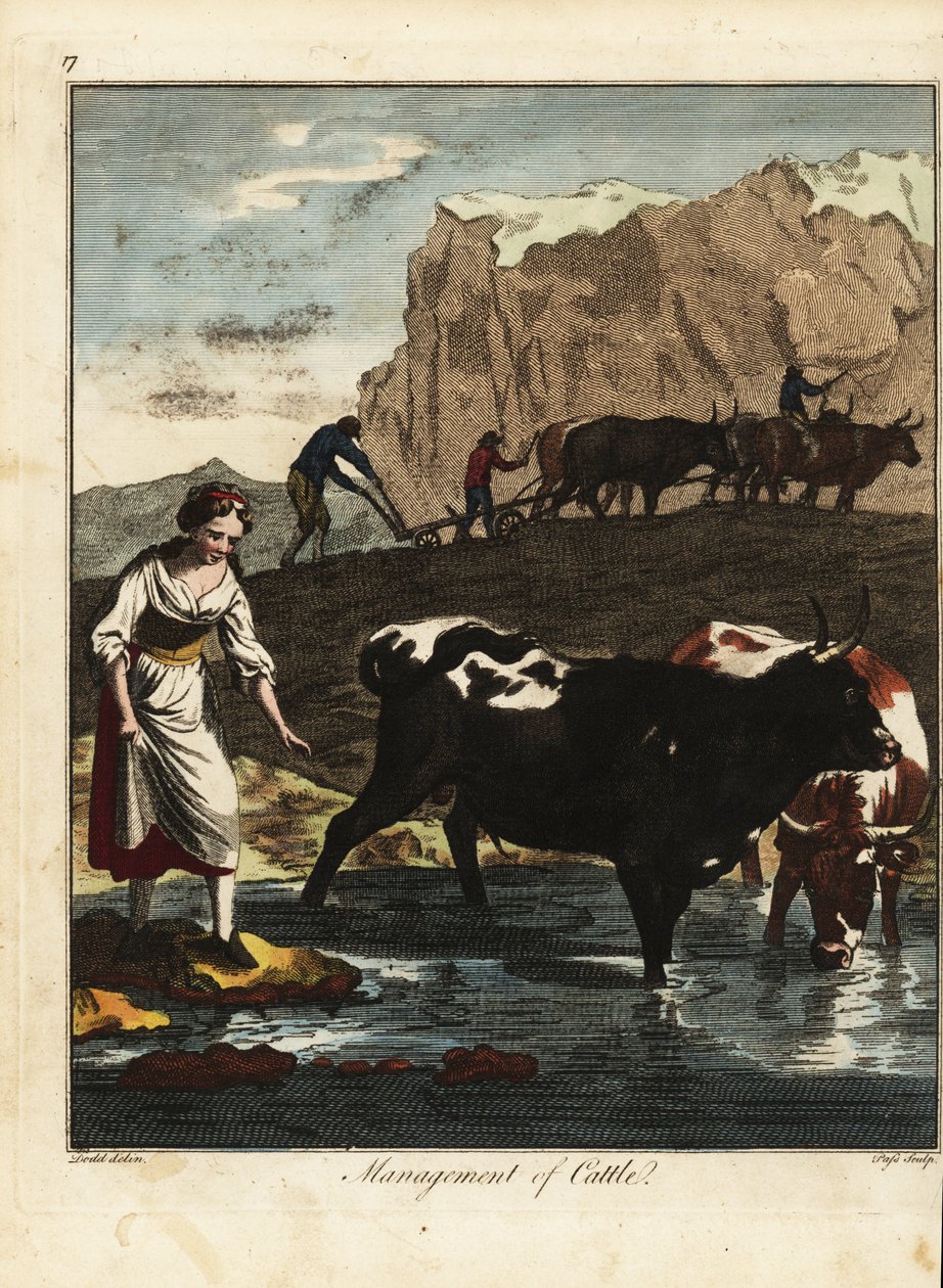 Criada y ganaderos de vacuno de leche de Daniel (after) Dodd