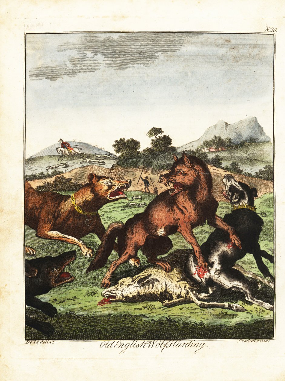Caza del lobo inglés. 1792 (grabado) de Daniel (after) Dodd