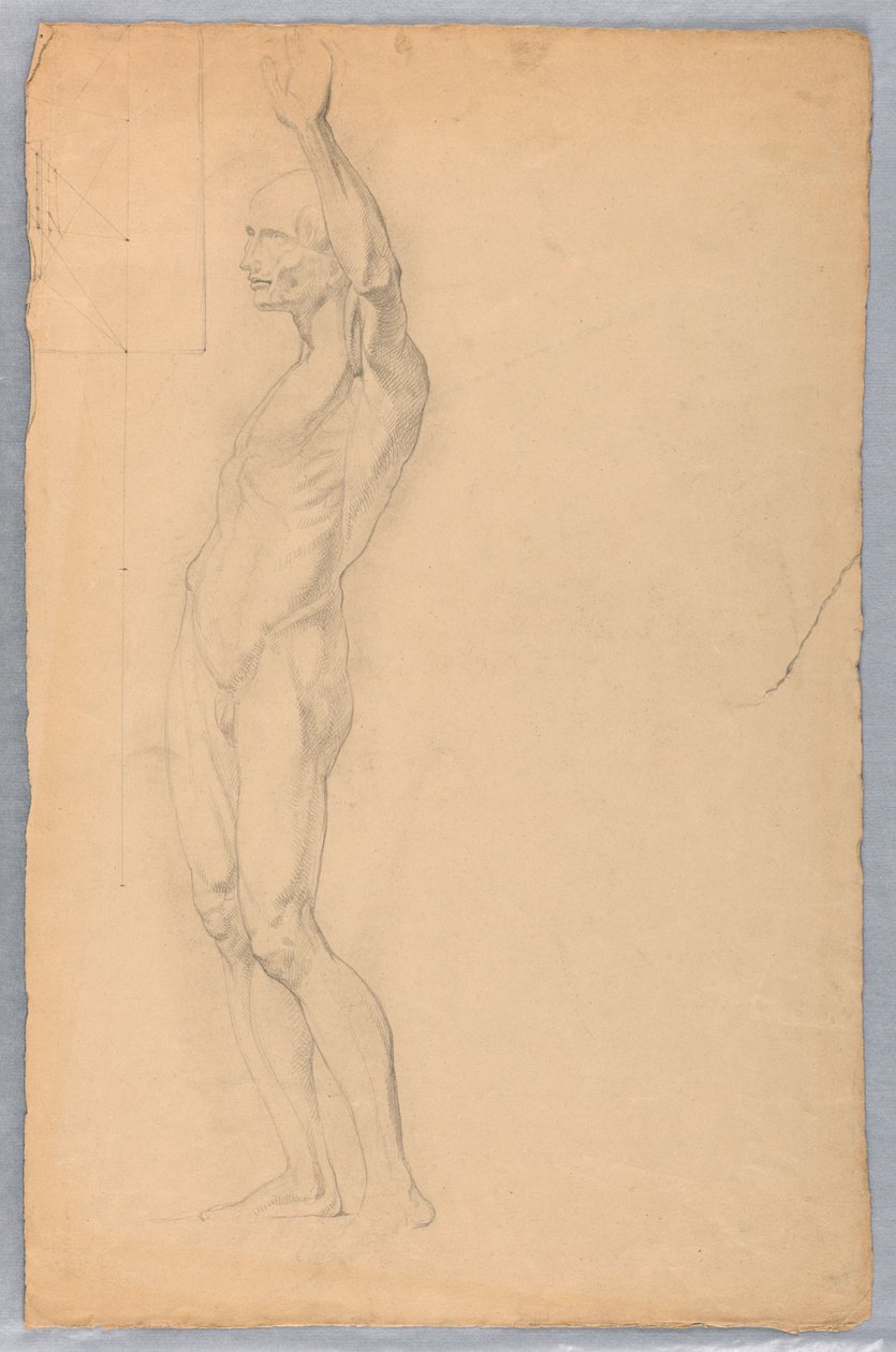 Dibujo, Estudio anatómico de varón, ca. 1850 de Daniel Huntington