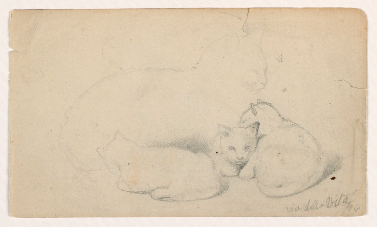 Dibujo, Gato y tres gatitos; reverso: Hombre árabe sentado recibiendo a un hombre, posiblemente según David Roberts, 1844 de Daniel Huntington