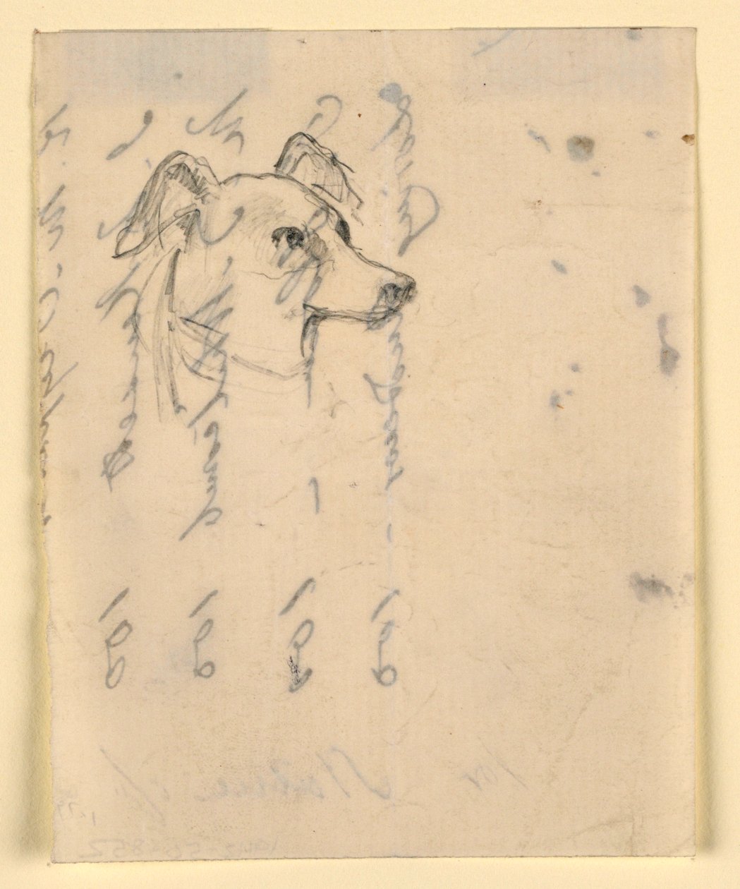 Dibujo, Cabeza de perro, probablemente Milo (un Pointer), ca. 1862 de Daniel Huntington