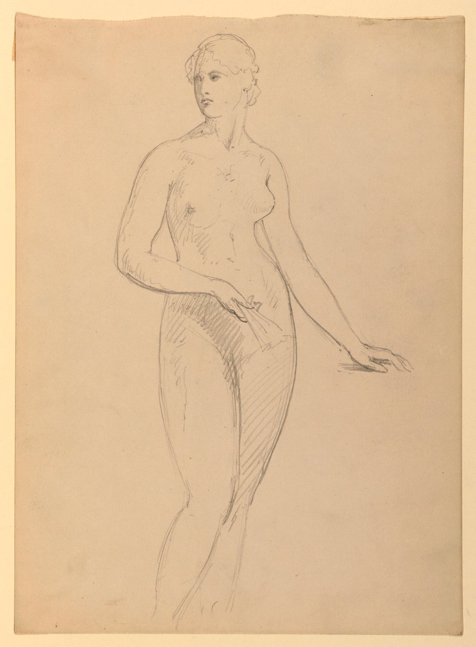 Dibujo, Sra. Henry Schieffelin, S, 1881 de Daniel Huntington