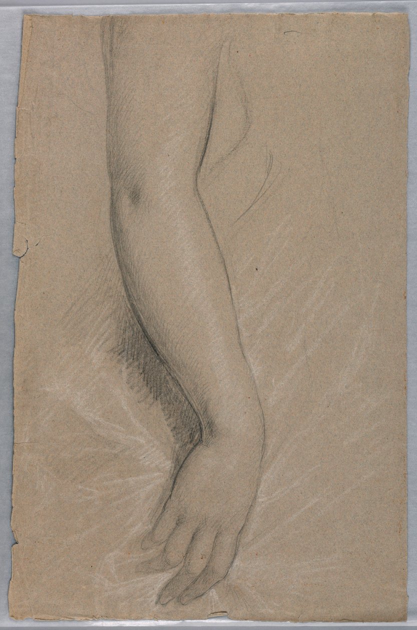 Dibujo, Sra. Rutherford B Hayes, 1880 de Daniel Huntington