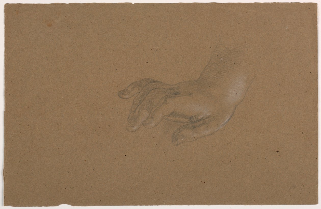 Dibujo, Estudio de la mano derecha, 1850-60 de Daniel Huntington