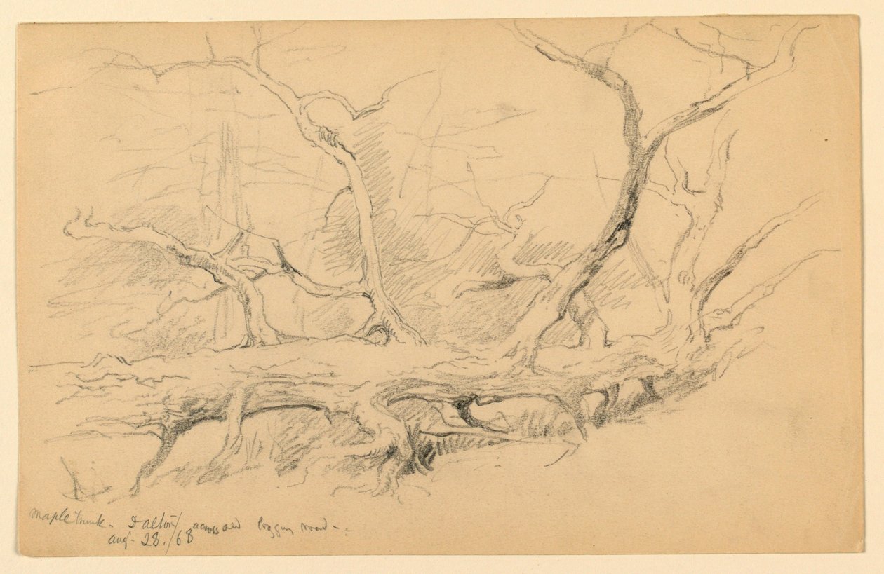 Tronco de arce, a través del antiguo camino de tala, Dalton de Daniel Huntington