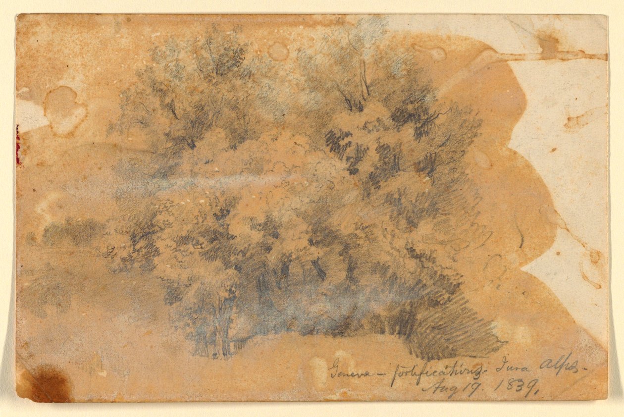Estudio de árboles, Ginebra de Daniel Huntington