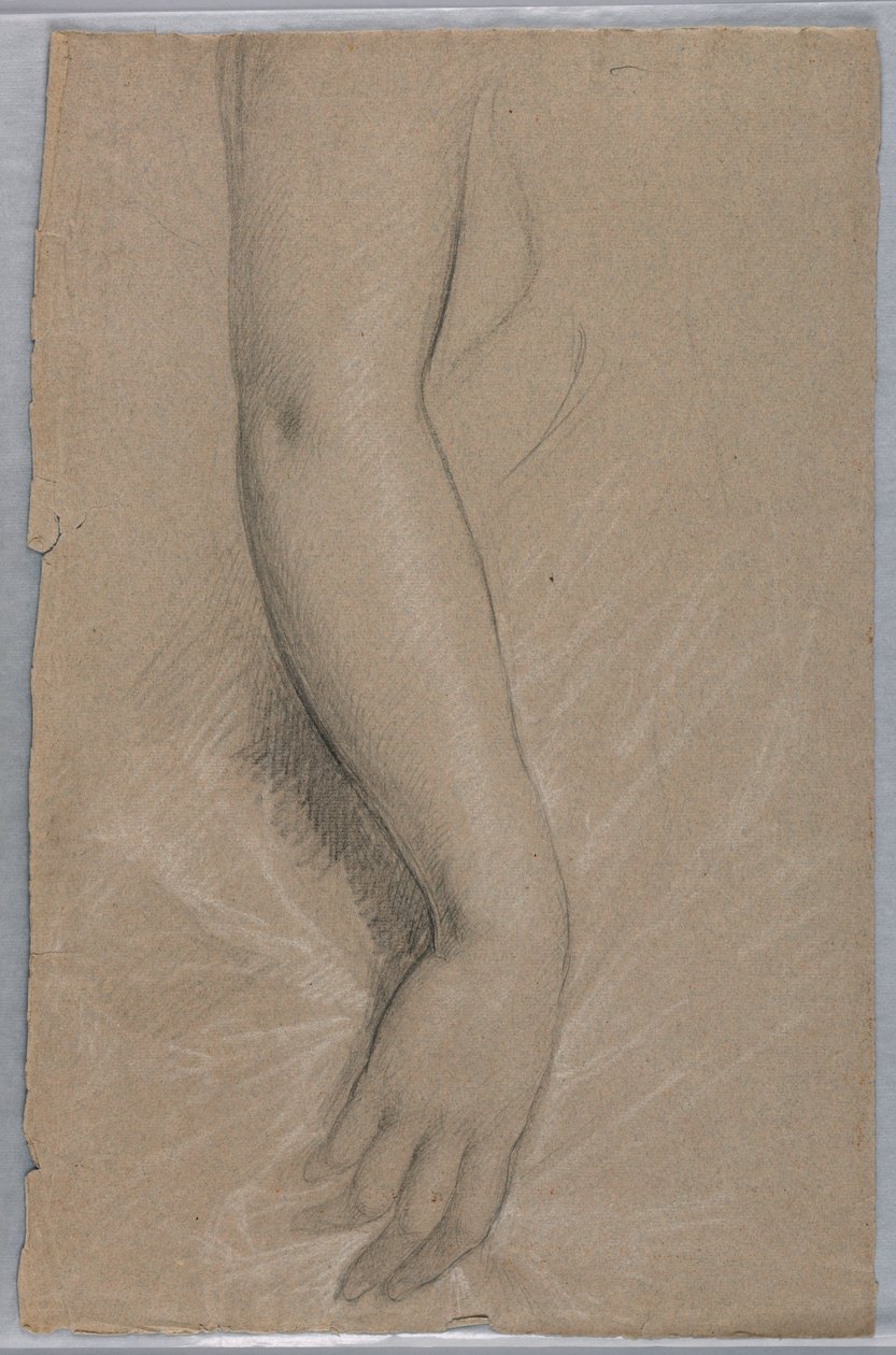 Estudio de un Brazo para el Retrato de la Sra. Rutherford B. Hayes de Daniel Huntington