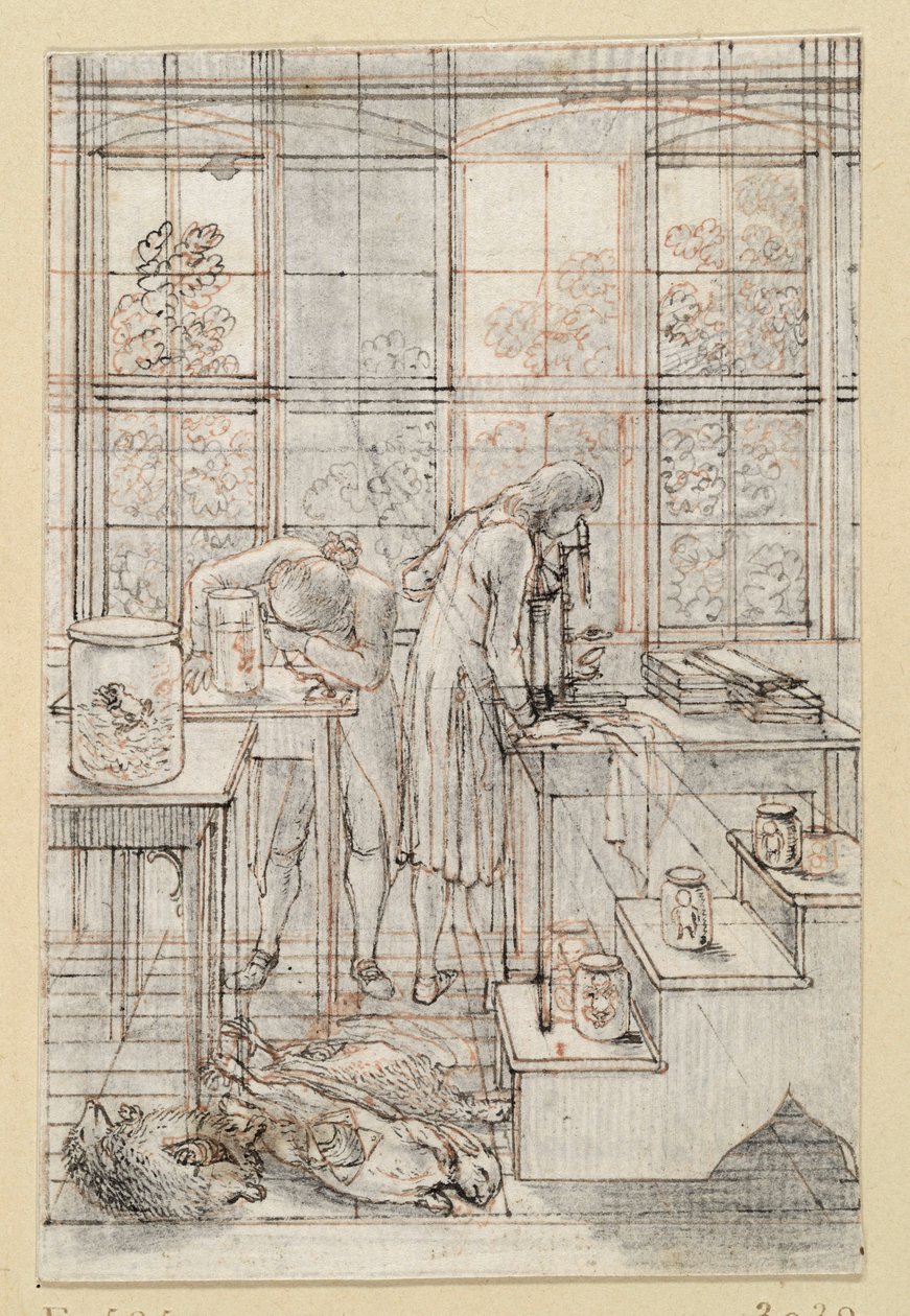 Dibujo para el grabado de portada de la Historia natural de Blumenbach: Dos naturalistas realizando investigaciones microscópicas. E. 585 de Daniel Nikolaus Chodowiecki