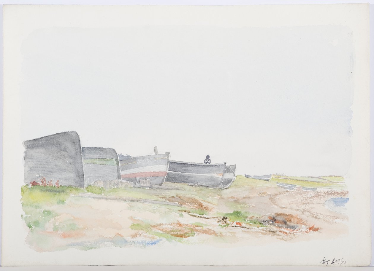 Barcas de pesca, Isla Santa, 1895 de Daniel Oliver