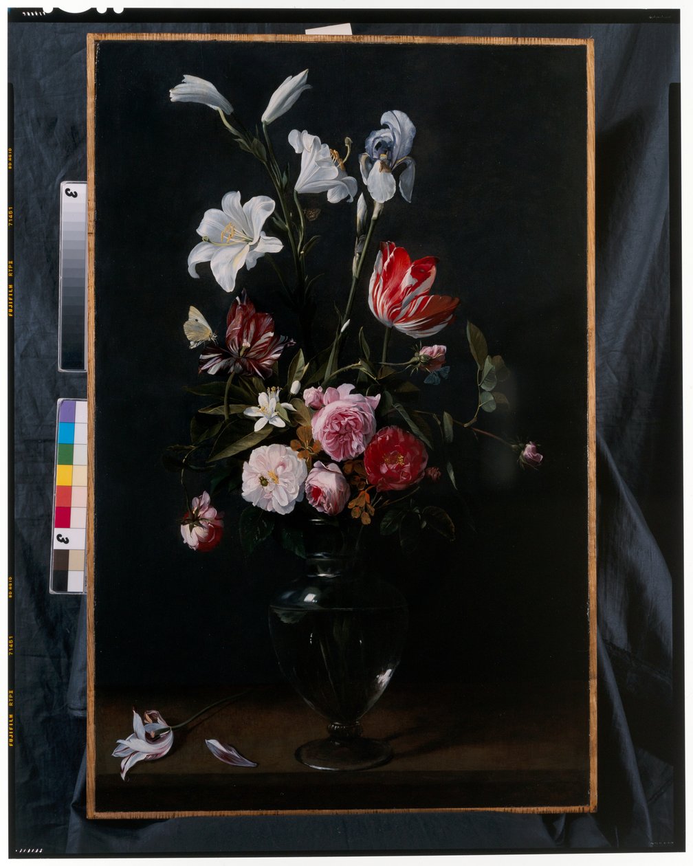 Ramos de rosas, tulipanes, narcisos y otras flores suspendidos de cintas azules (óleo sobre cobre) de Daniel Seghers