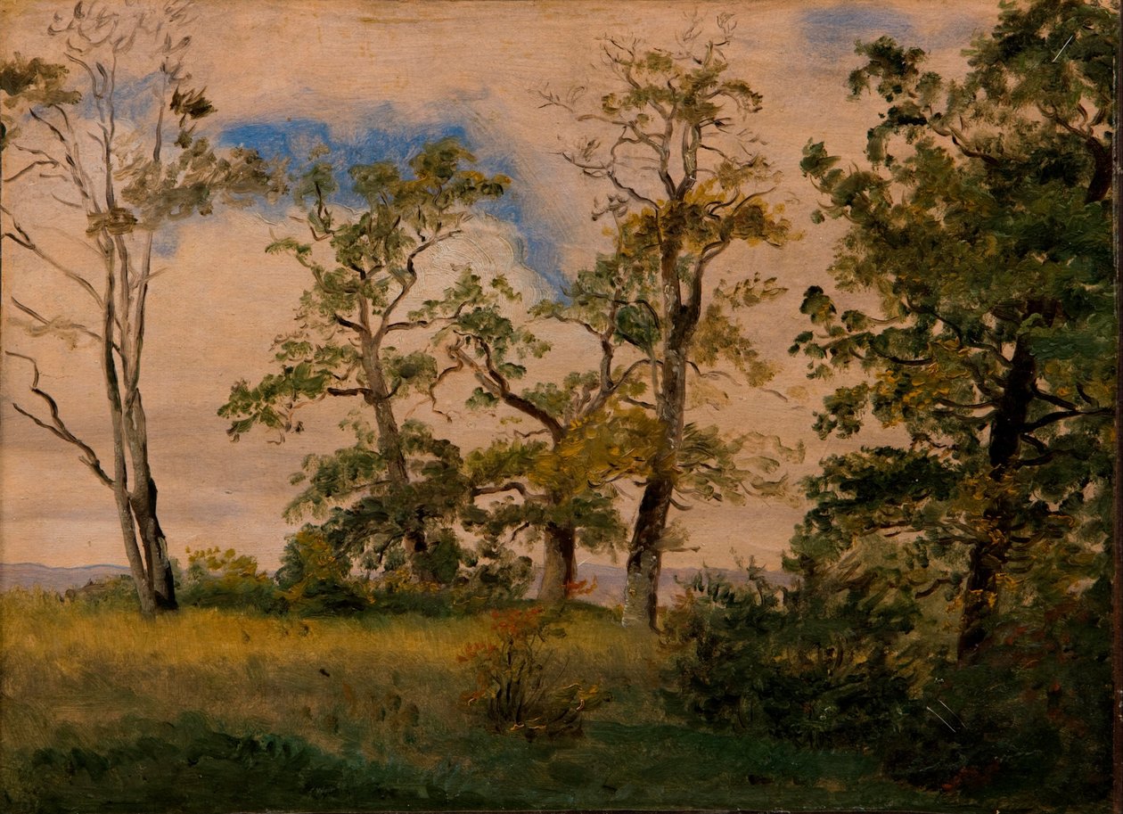 Paisaje con árboles aislados de Dankvart Dreyer