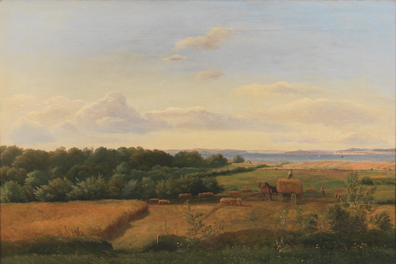 Un paisaje de Funen en tiempo de cosecha con Wedellsborghoved en el fondo de Dankvart Dreyer