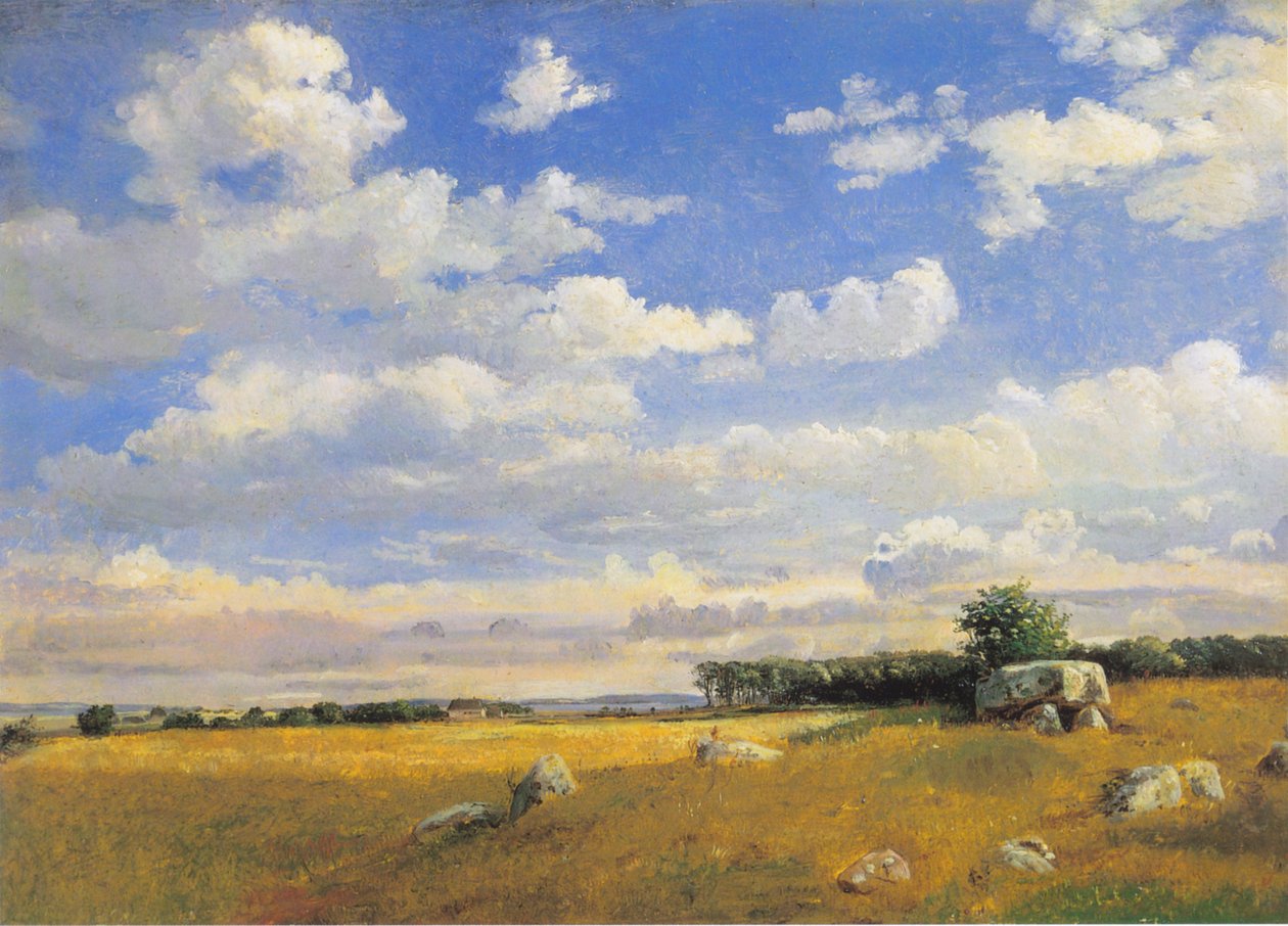 Dolmen en Brandsø de Dankvart Dreyer