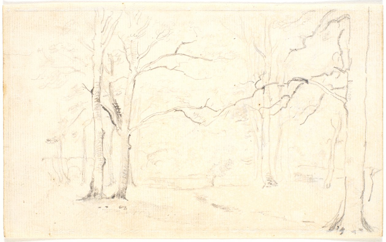Interior de bosque en invierno de Dankvart Dreyer