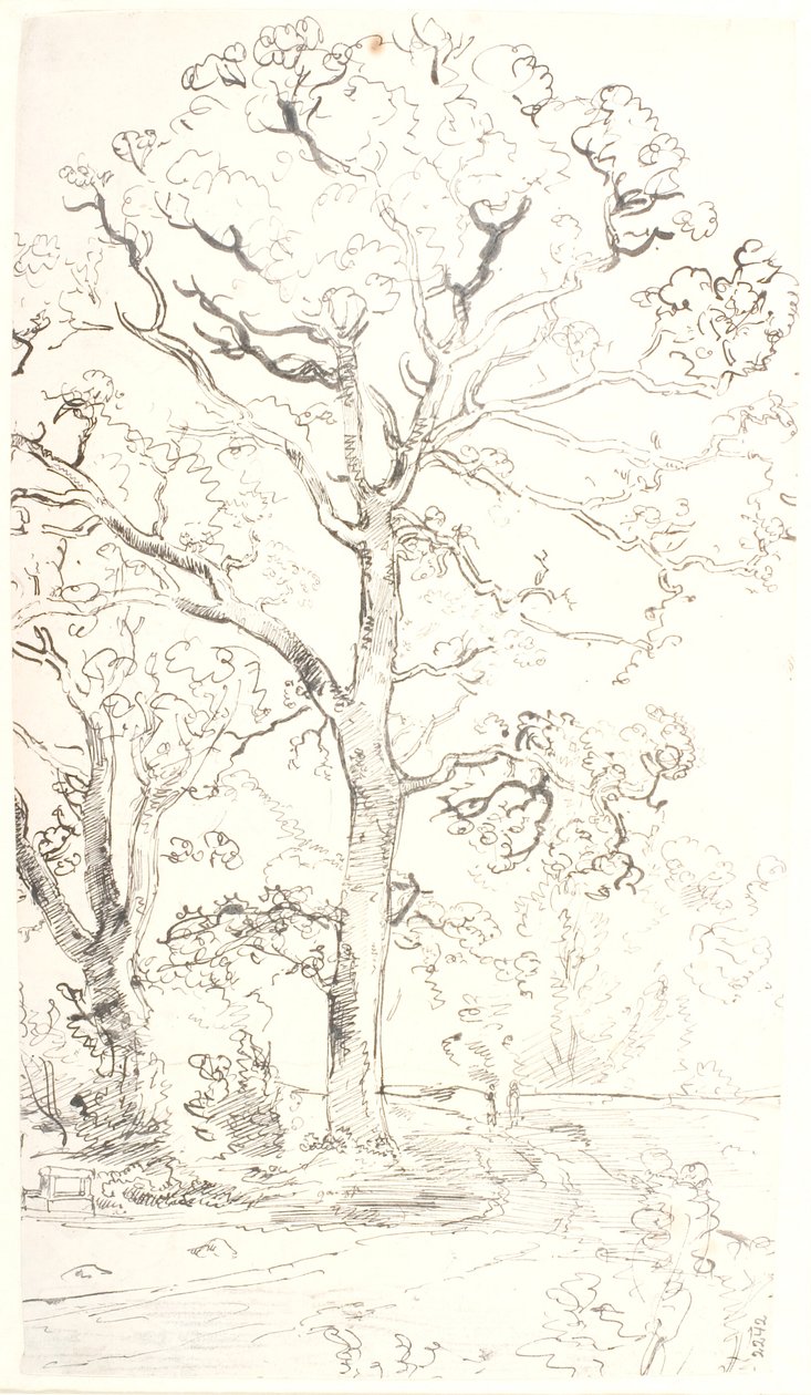 Estudio de robles de Dankvart Dreyer