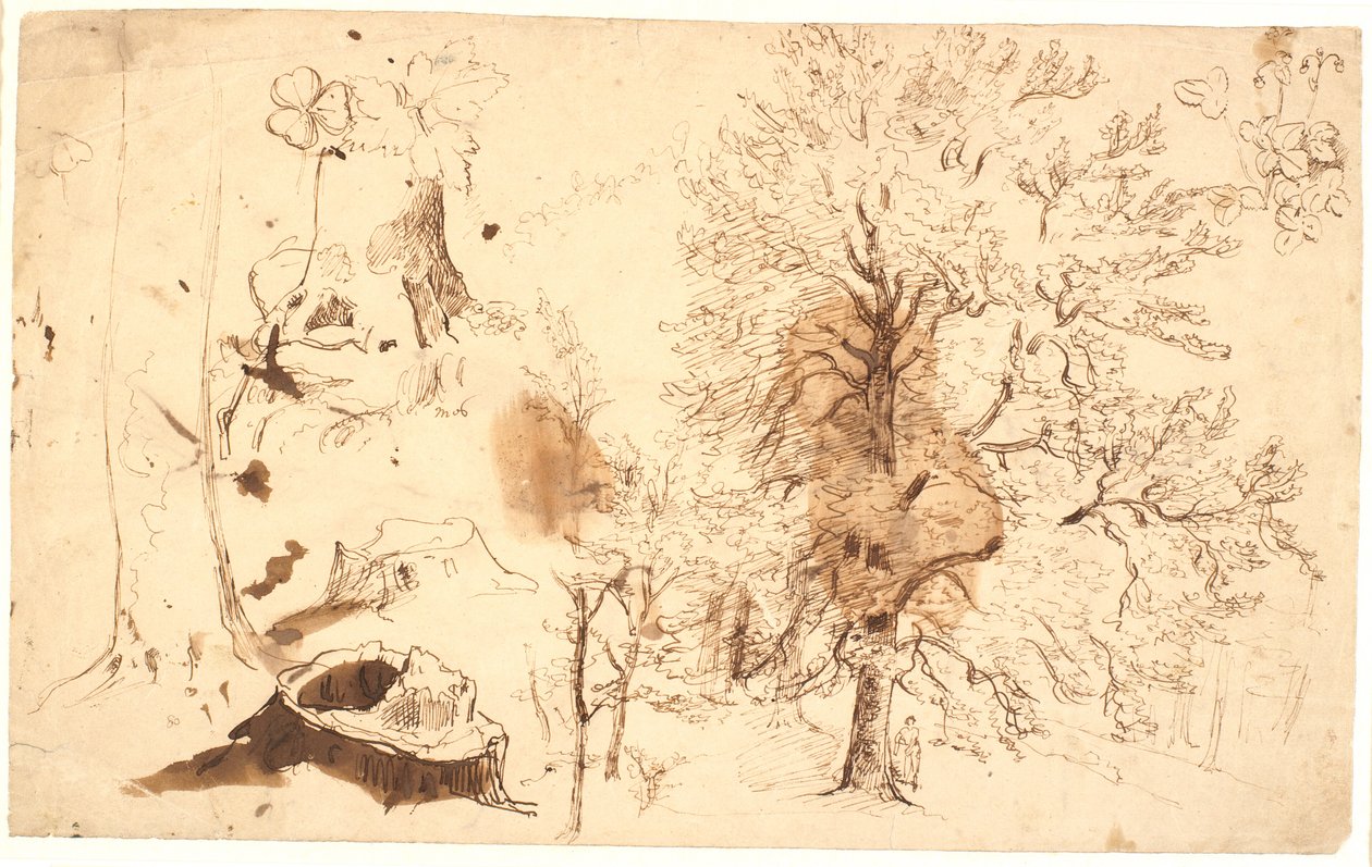 Estudio con árboles, plantas y tocones de Dankvart Dreyer