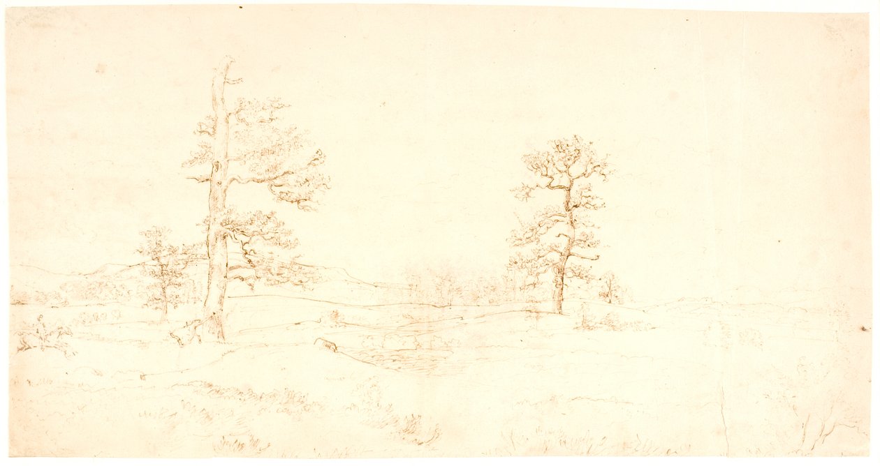 Vista de un paisaje ondulado con un par de robles solitarios de Dankvart Dreyer