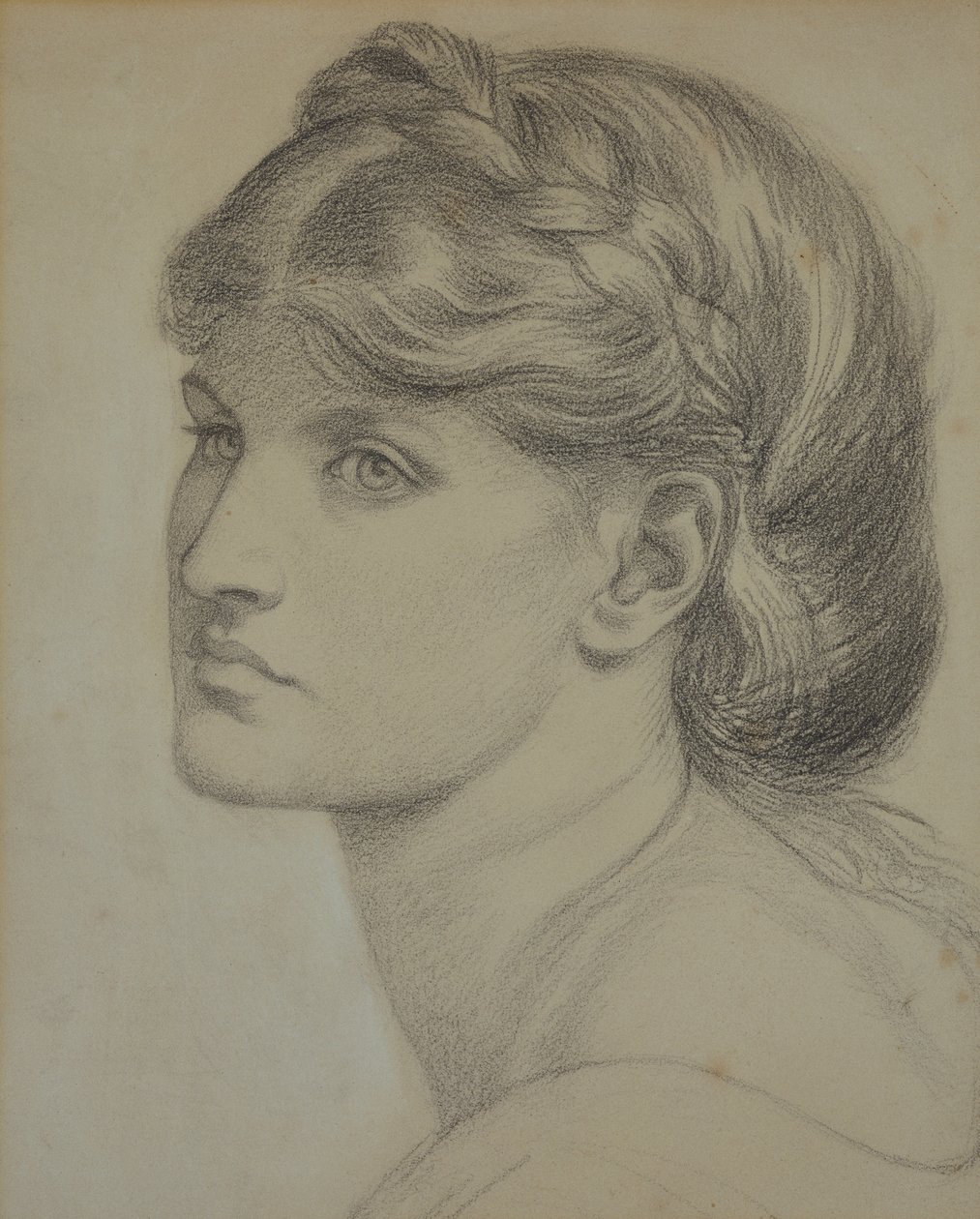 Retrato de Alexa Wilding, un estudio para 