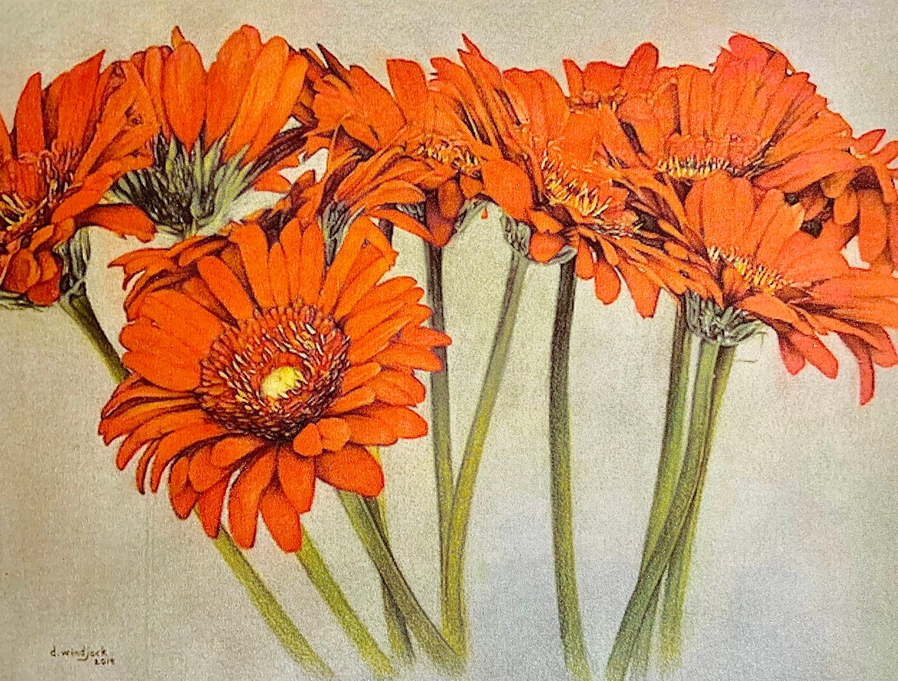 Orange Burst, 2019 (lápiz, acrílico sobre papel) de Darrell Windjack