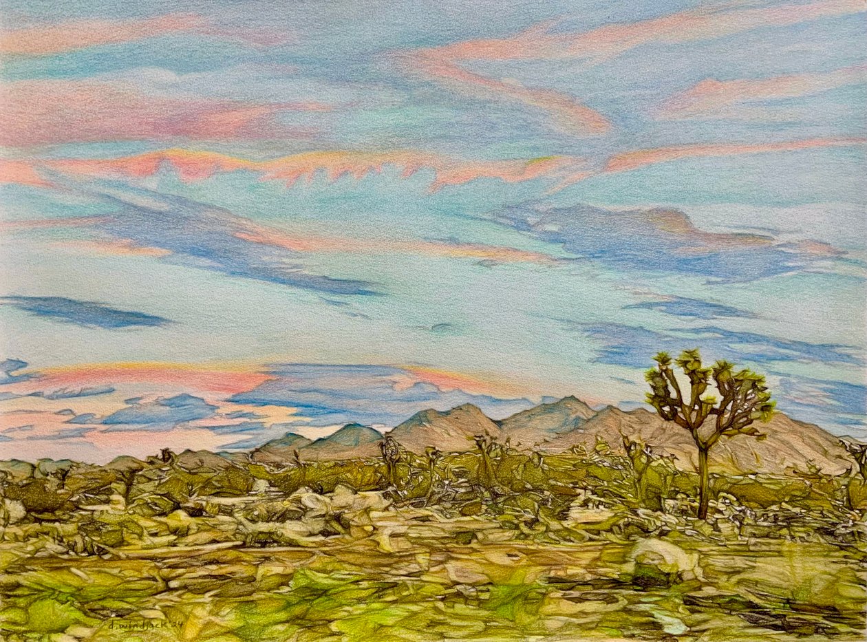 The Joshua Tree, 2023 (lápiz sobre papel) de Darrell Windjack