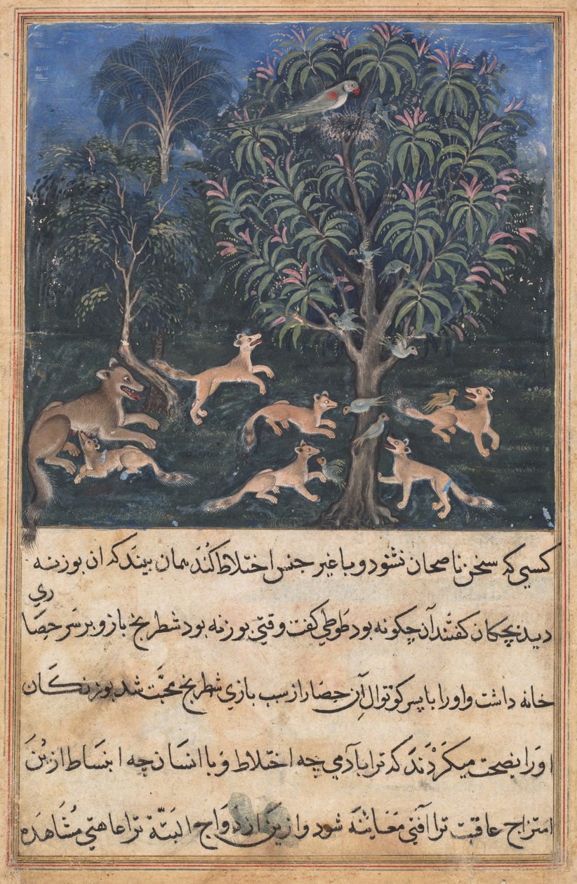 Página de Cuentos de un loro Tuti-nama: Quinta noche: La madre loro advierte..., c. 1560 de Daswanth