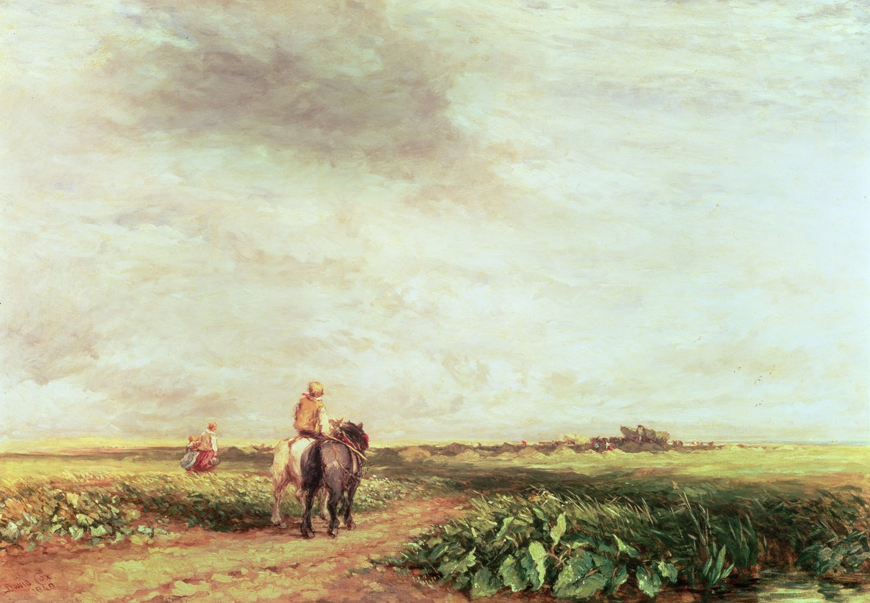 Paisaje de David Cox