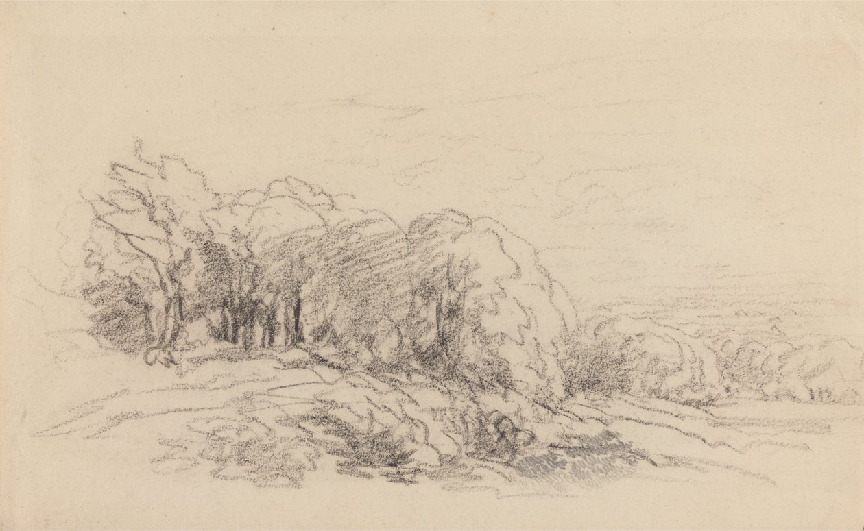 Paisaje con árboles de David Cox